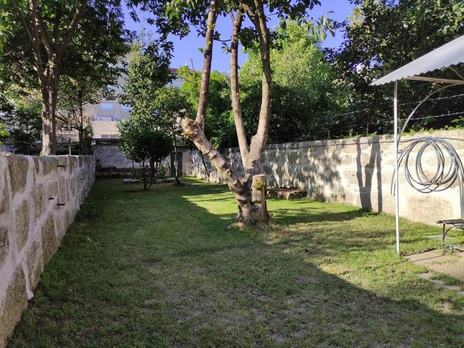 Alvares Cabral Apartamento C Lägenhet OOporto Exteriör bild